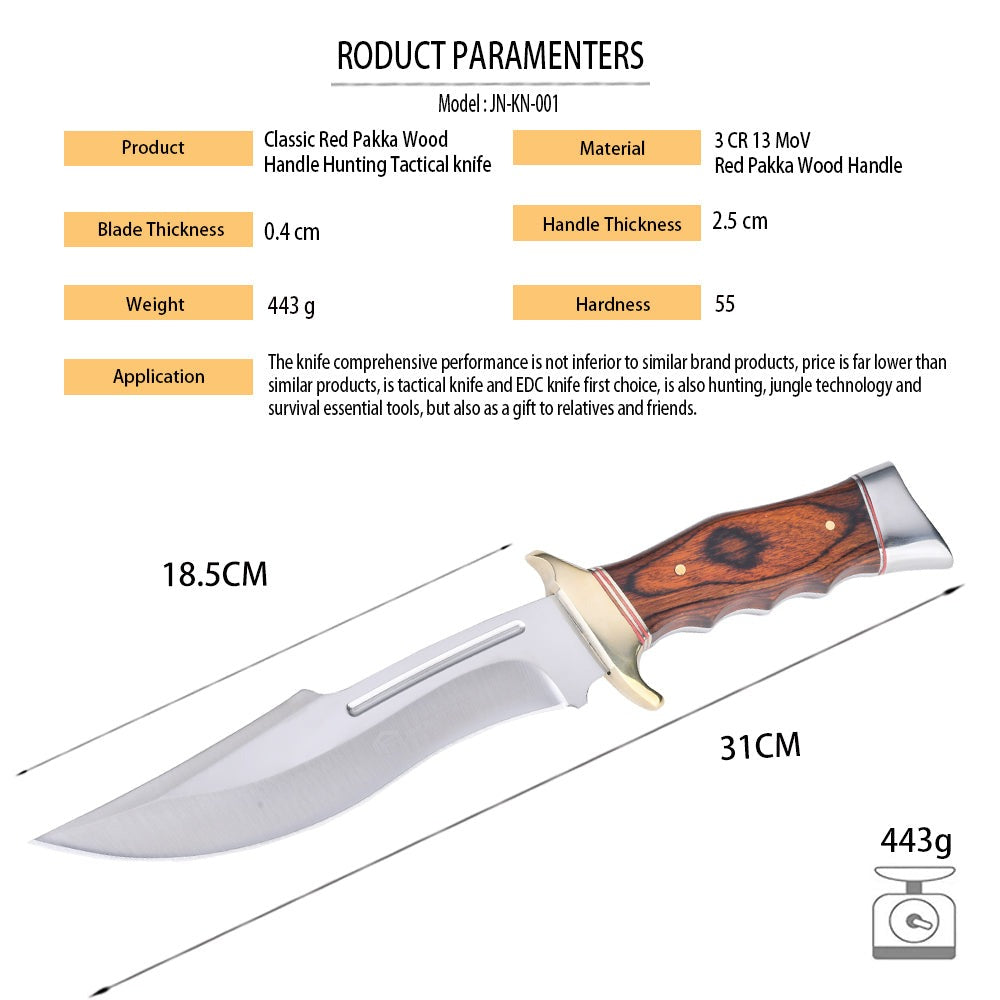 Professional Bowie Knife 2, 32 cm